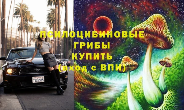 крисы Михайловка