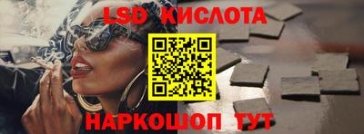 Альфа ПВП Кандалакша