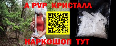 Альфа ПВП Кандалакша