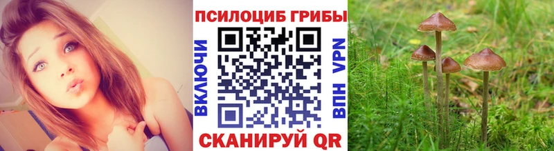 Псилоцибиновые грибы Cubensis  Фурманов 