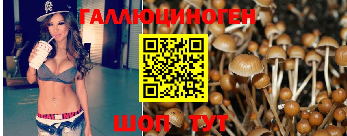Фурманов  Галлюциногенные грибы мицелий  Вход с VPN 